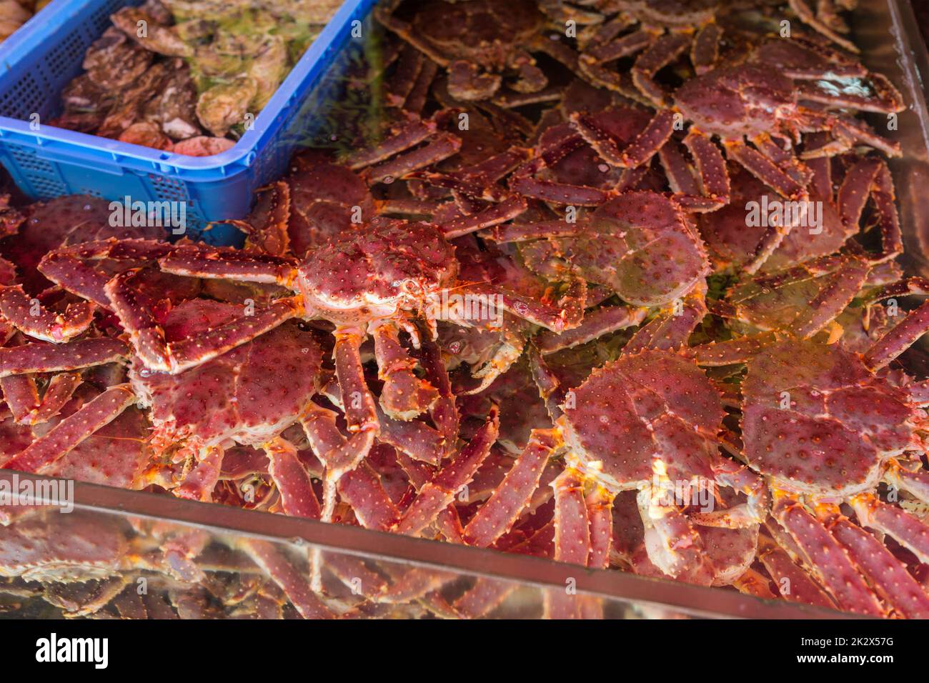 Live Japanese king crabs in market Stock Photo
