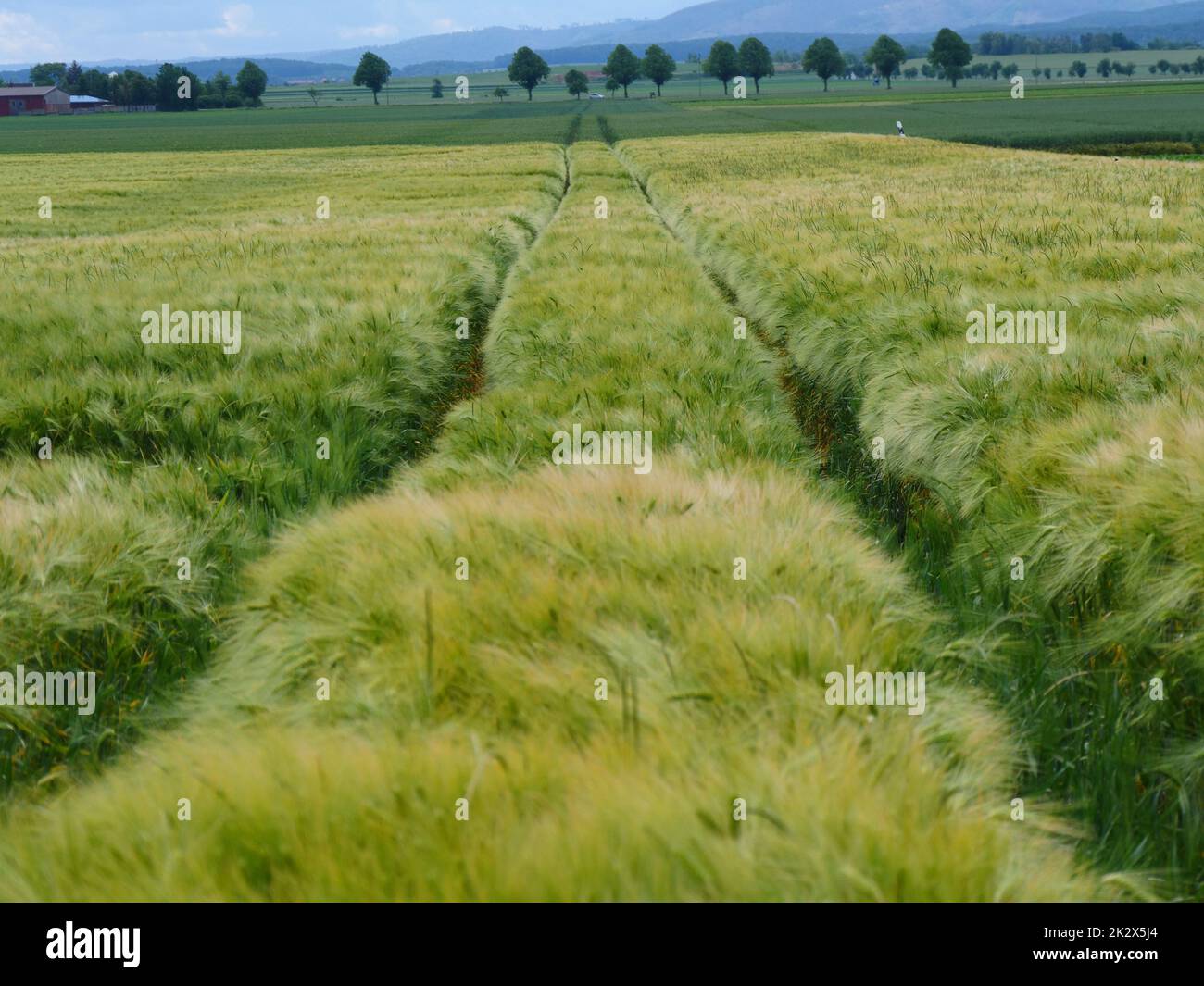 Getreidemaerkte hi-res stock photography and images - Alamy