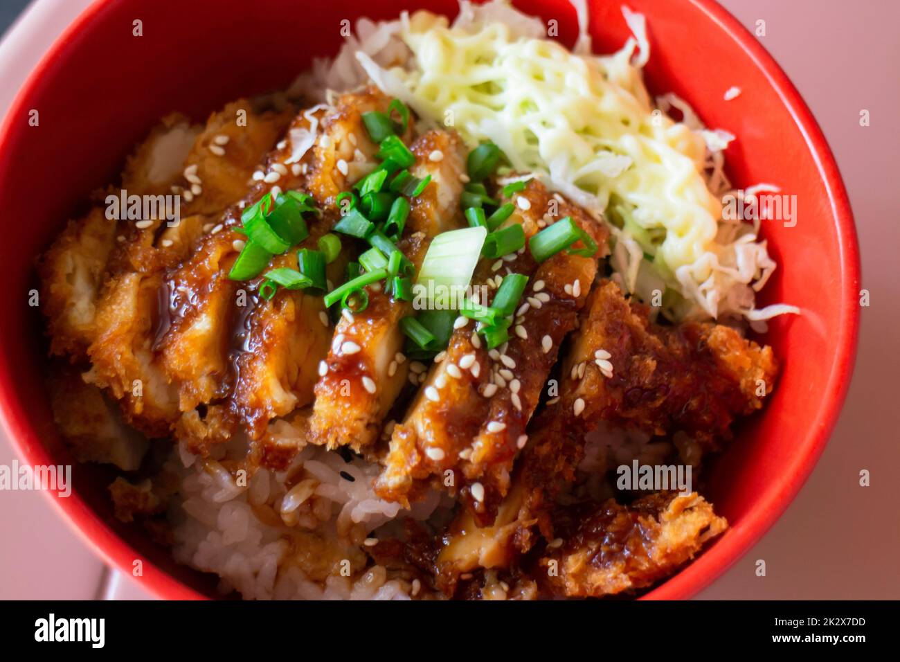 Pork tonkatsu cutlet or crispy fried chicken with japanese rice Stock