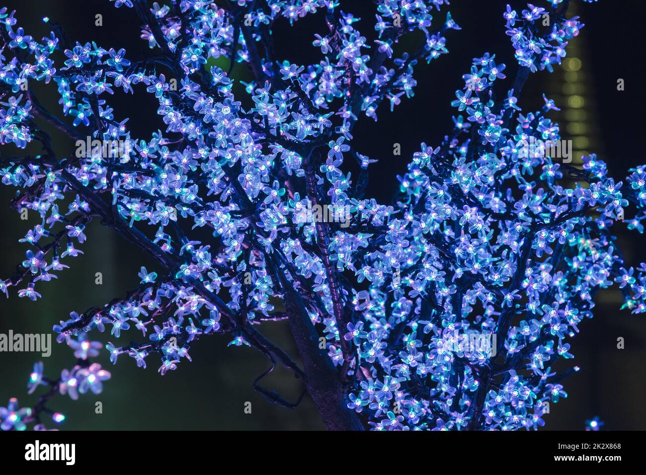 The lights are used to decorate the trees to create beautiful light ...