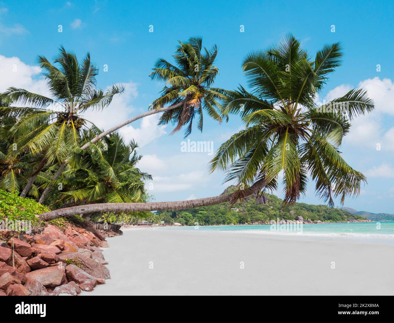 mango lodge anse volbert village seychelles