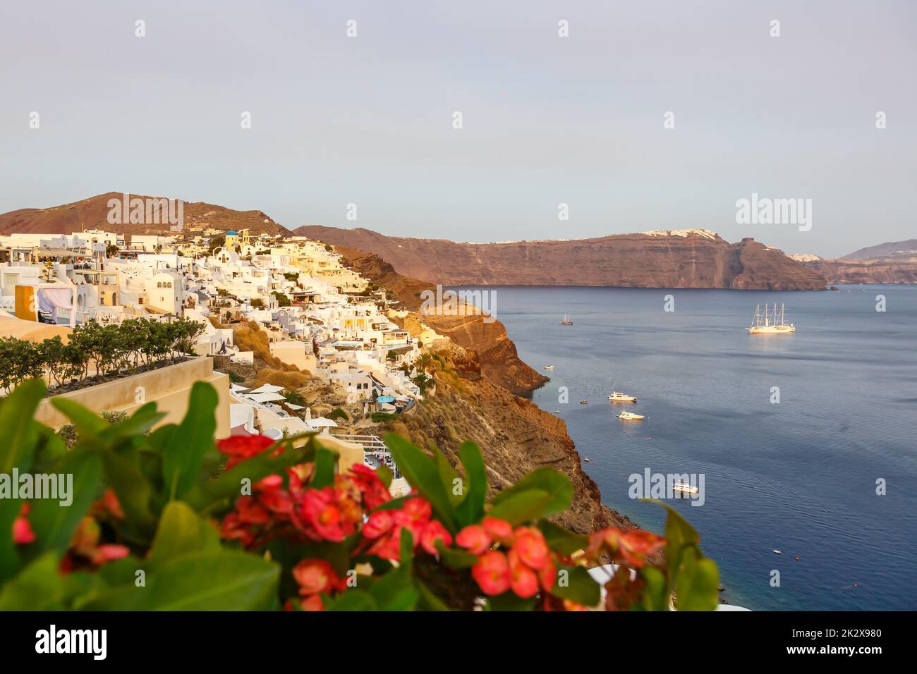 Santorini island holidays in Greece travel traveling Oia town Mediterranean Sea evening Santorin flowers Stock Photo