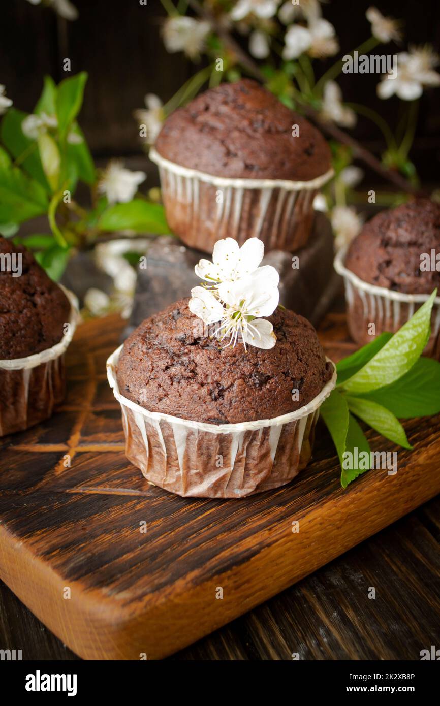 Double chocolate muffins covered with melted chocolate on a wooden background with cherry flowers Stock Photo