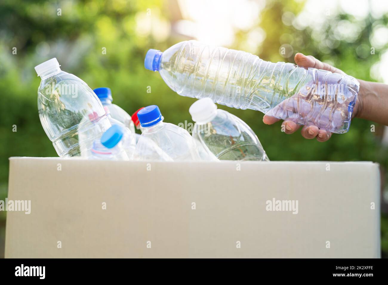 Asian woman volunteer carry water plastic bottles into garbage box