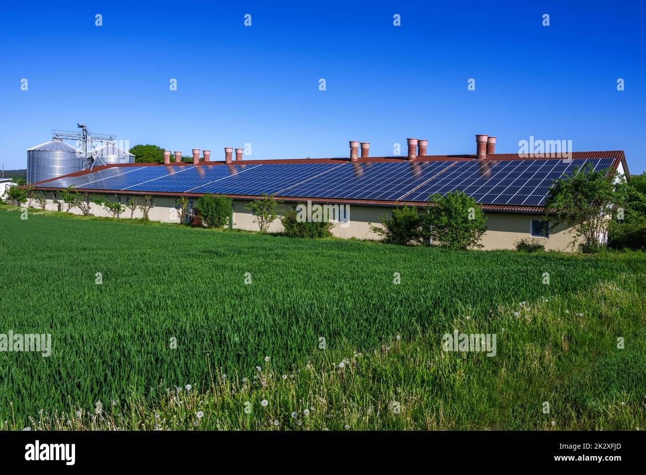 Green Energy with Solar Collectors Stock Photo