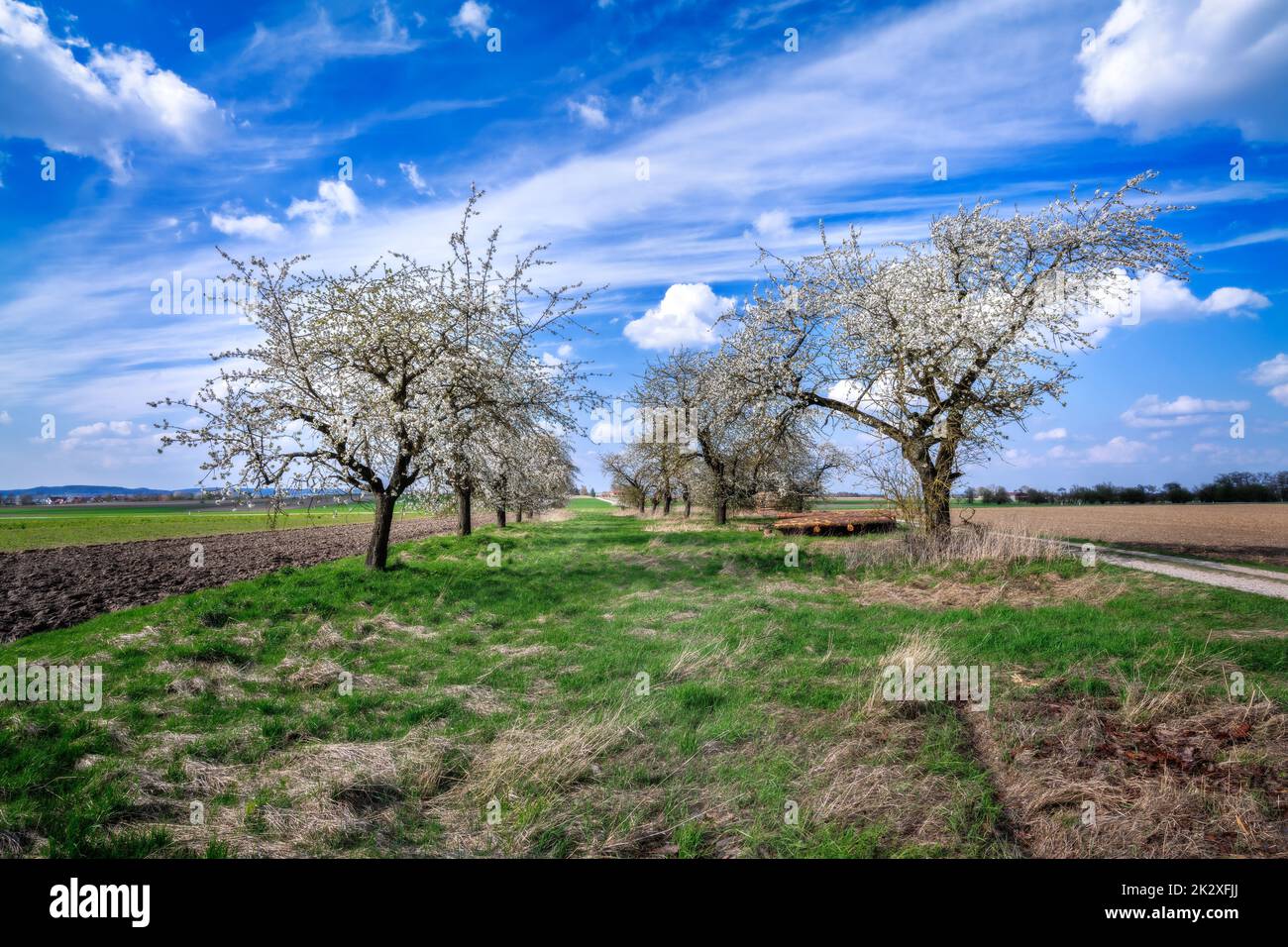 Meadow fruit hi-res stock photography and images - Alamy