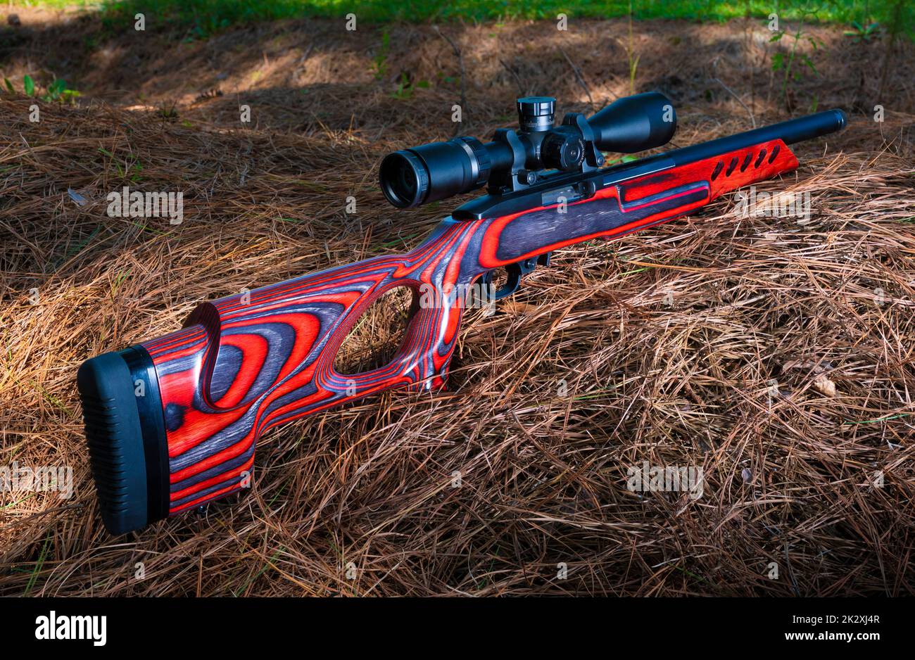 Semi-auto rifle with scope and red laminated stock near a grassy firing ...
