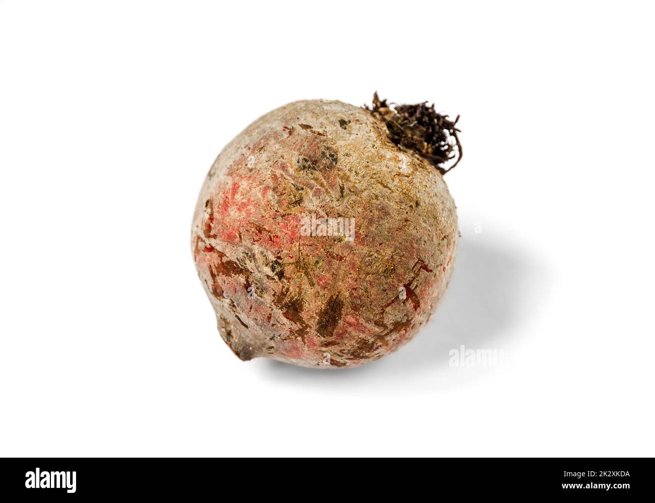 Beetroot isolated on a white background Stock Photo