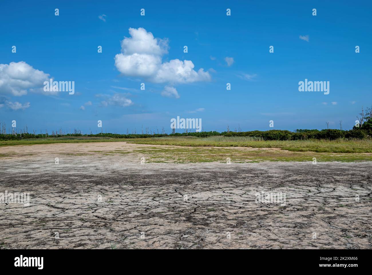 Dry Freshwater Wetland Along The Atlantic Coast In Virginia More Than Dry freshwater wetland along the atlantic coast in virginia more than