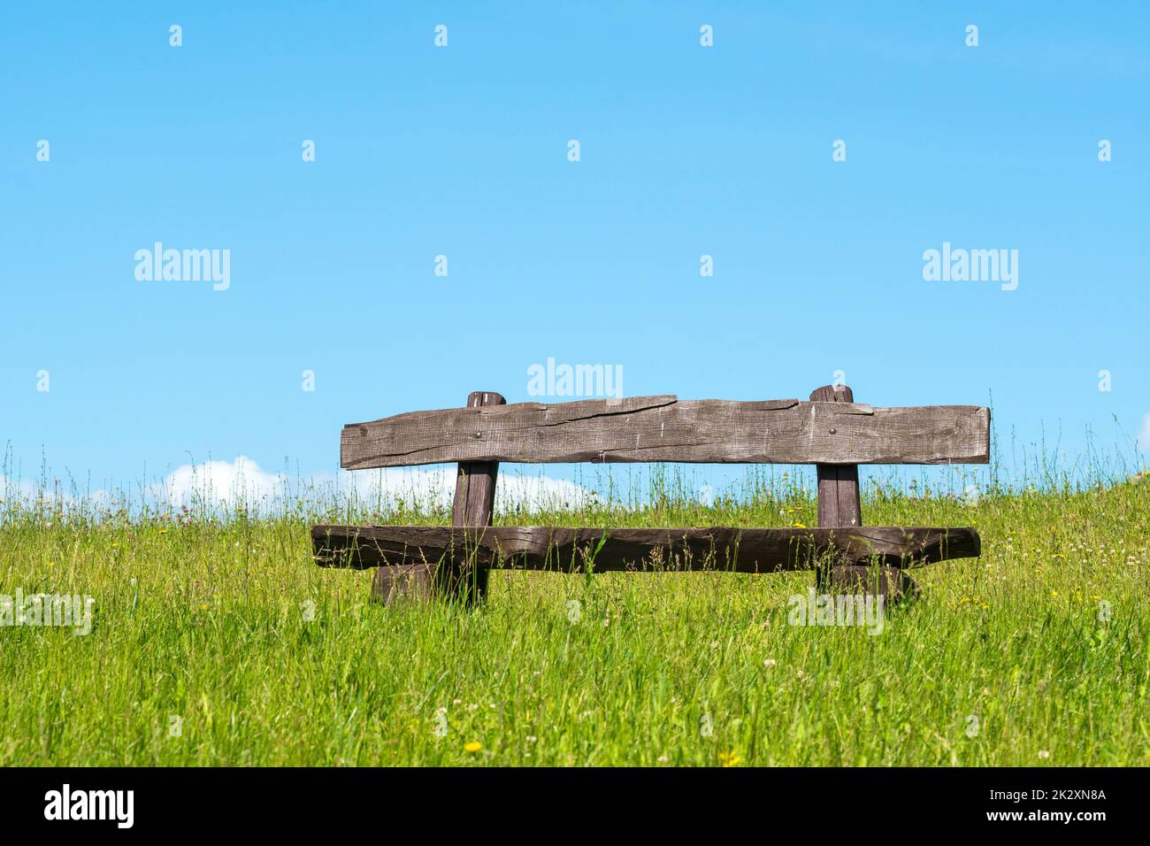 Empty bench in natural green untrimmed grass field Stock Photo