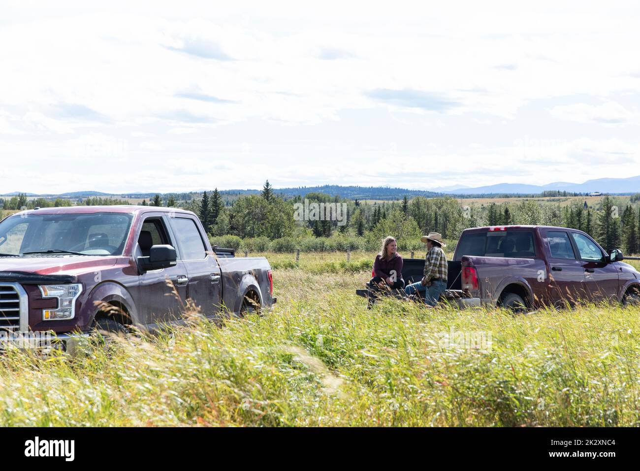 Farmers talking at pickup truck bed in sunny rural farm field Stock
