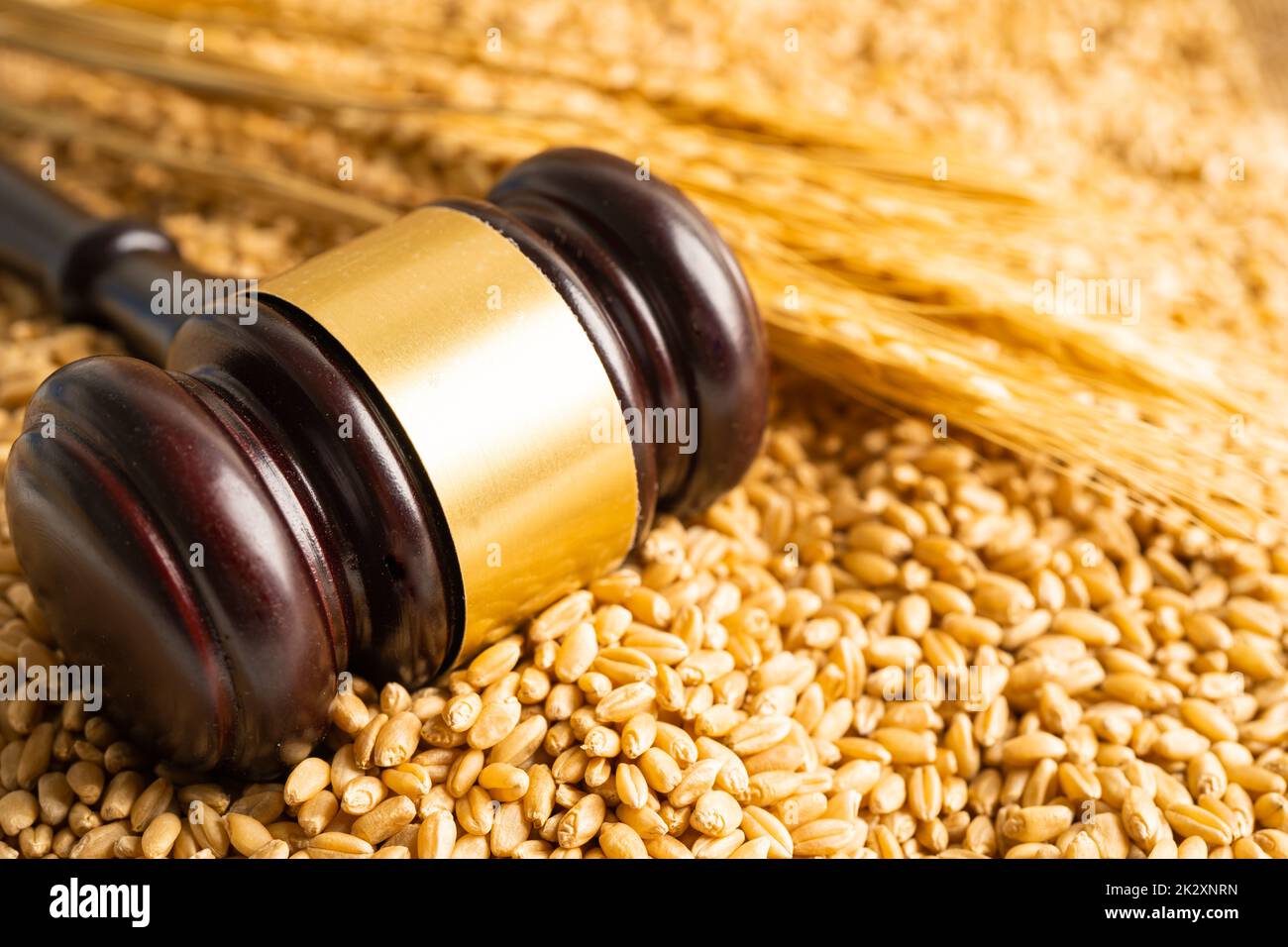 Judge hammer on grains and wheat ears from organic agriculture farm. Stock Photo