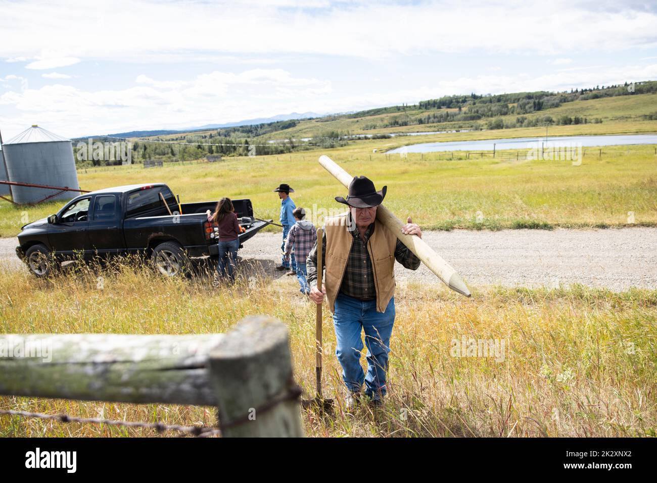 Senior male rancher carrying repairing fence post on sunny rural ranch ...