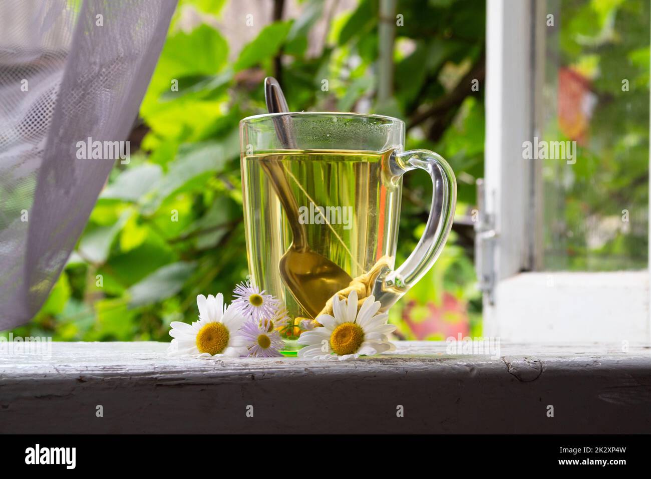 herbal chamomile tea bags, transparent tea cup of aromatic green tea ...