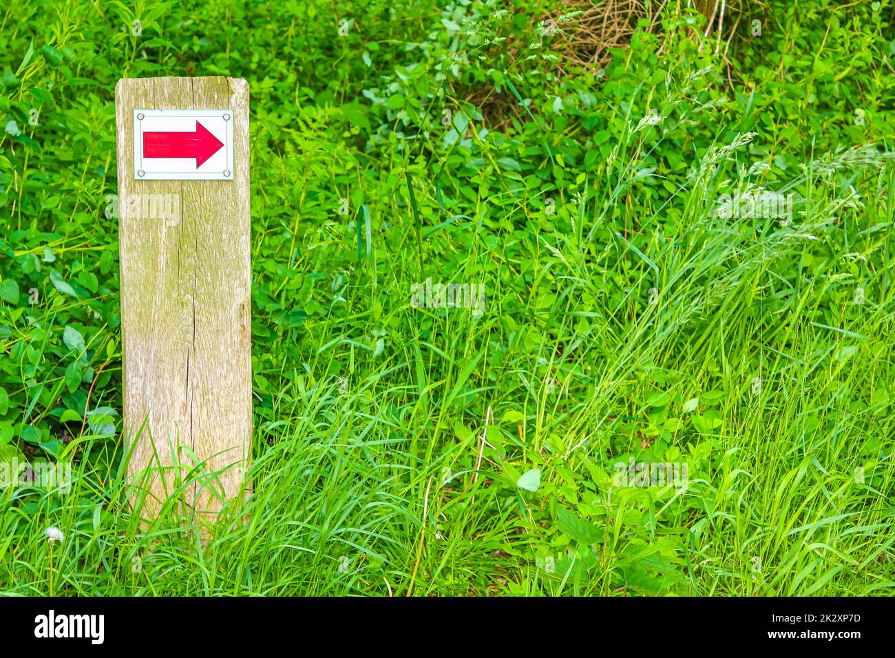 North German red arrow directional sign meadow forest nature Germany. Stock Photo