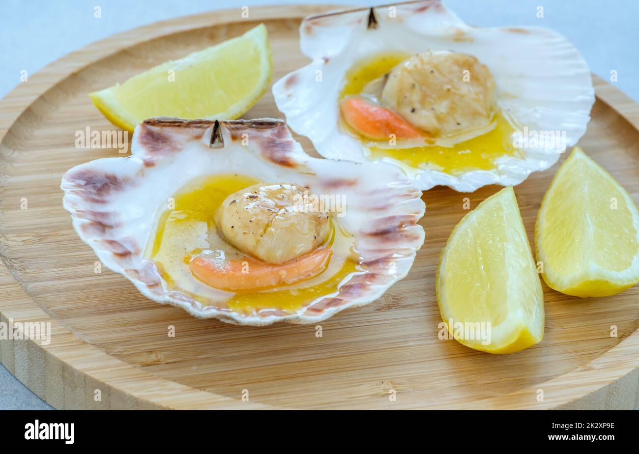 King scallop in shell Stock Photo Alamy