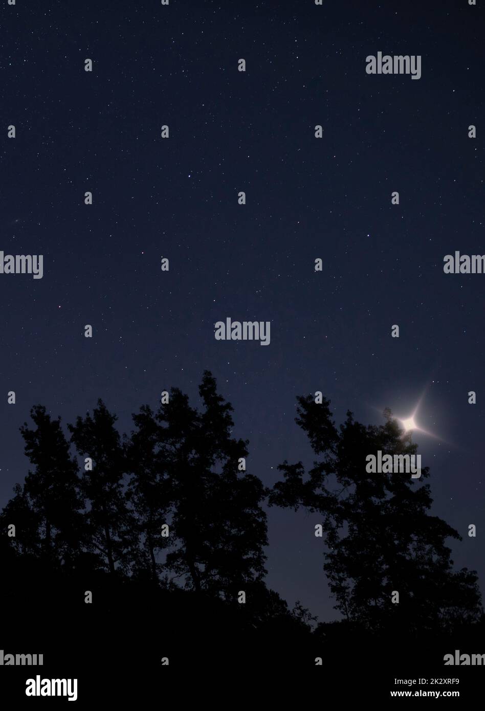 Unexplained light just above silhouetted trees on a star filled night Stock Photo