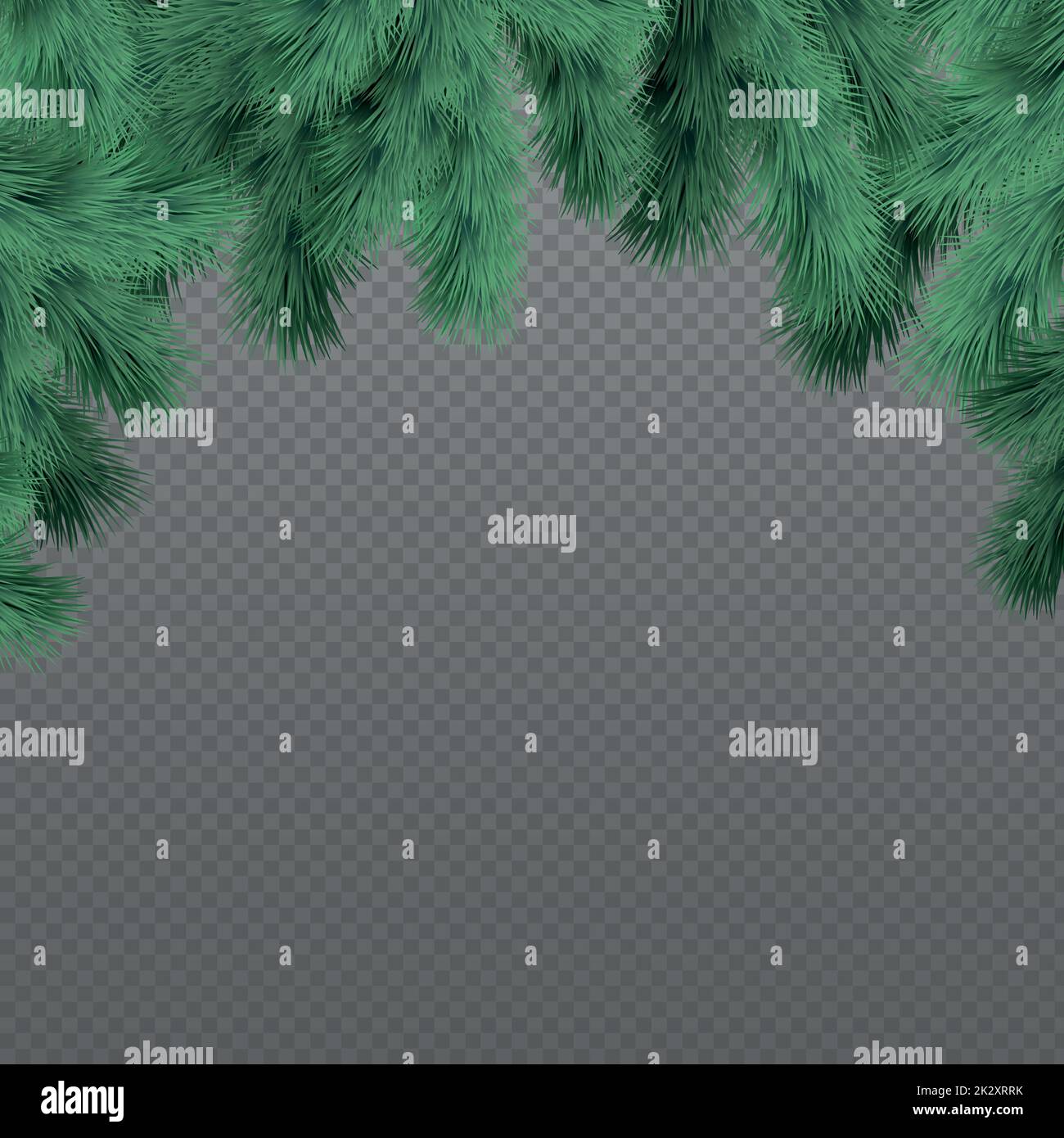 New Year Christmas background, festive fir tree, web template without