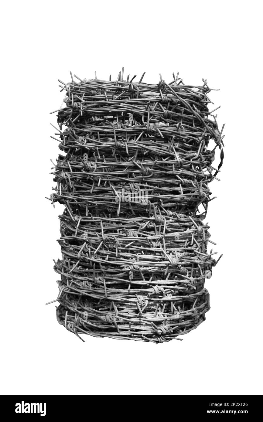 roll of steel barbed wire isolated on white background Stock Photo