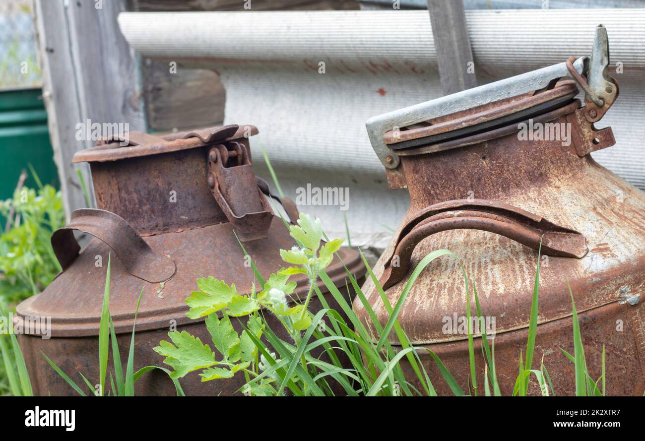 Two old rusty metal cans in the countryside. Container for transporting liquids, milk or liquid fuels with several handles. Milk bank of a cylindrical form with a wide mouth. Flask with sealed lid. Stock Photo