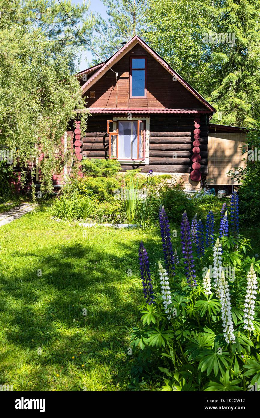 Anal chozilgan porno