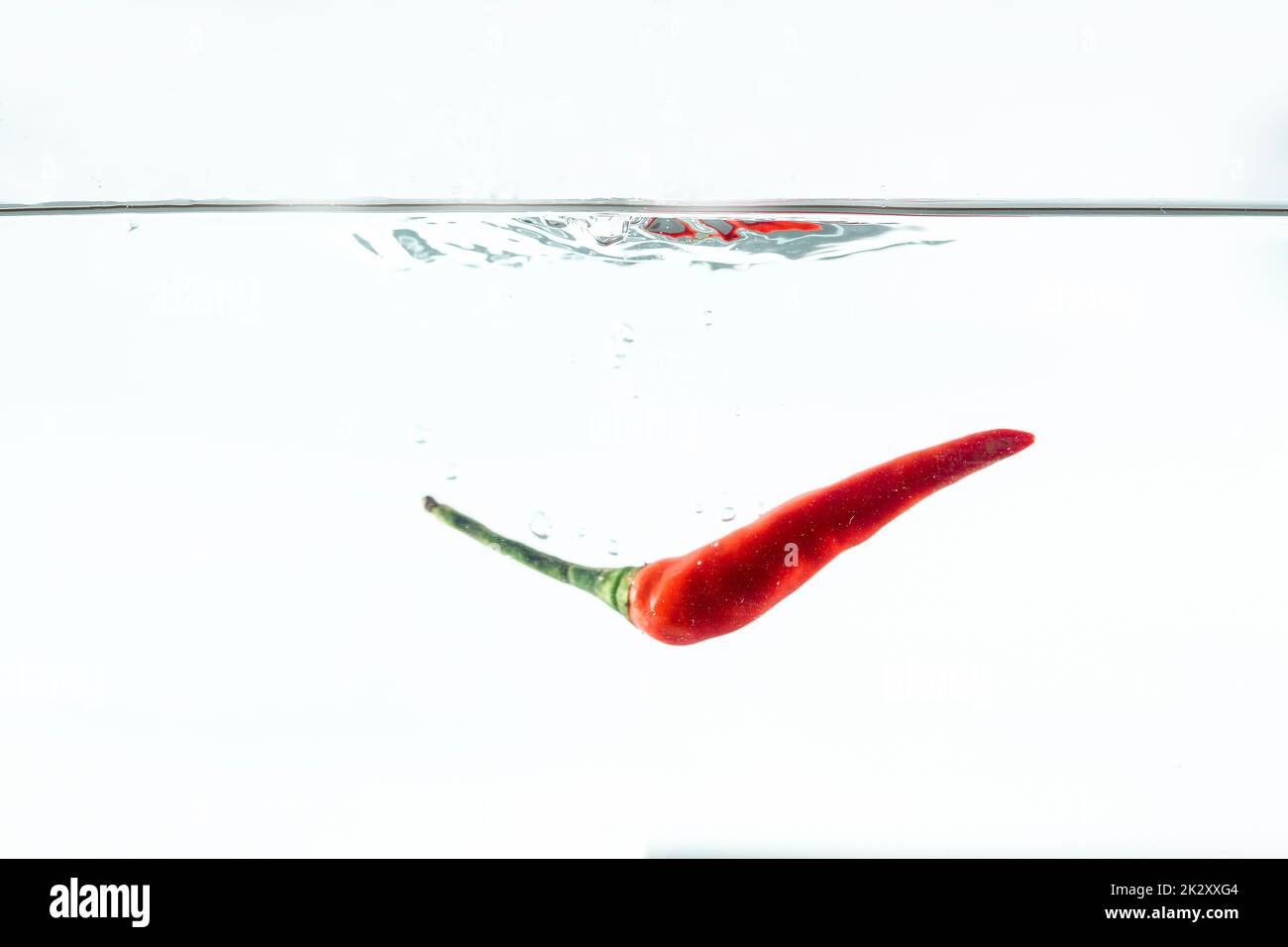 Red chilli, water splashes, solated on a white background Stock Photo