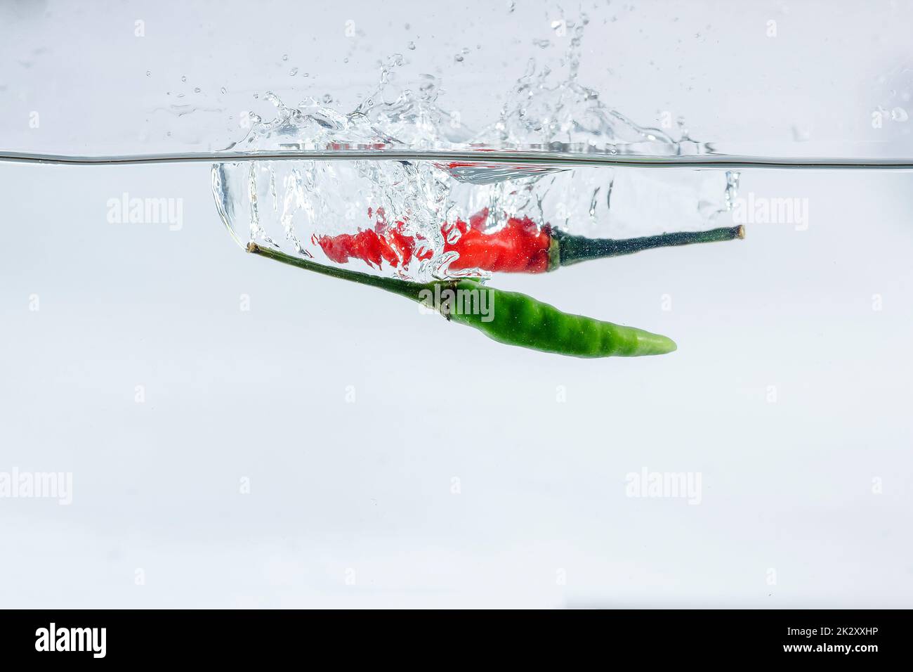 Red chilli, water splashes, solated on a white background Stock Photo
