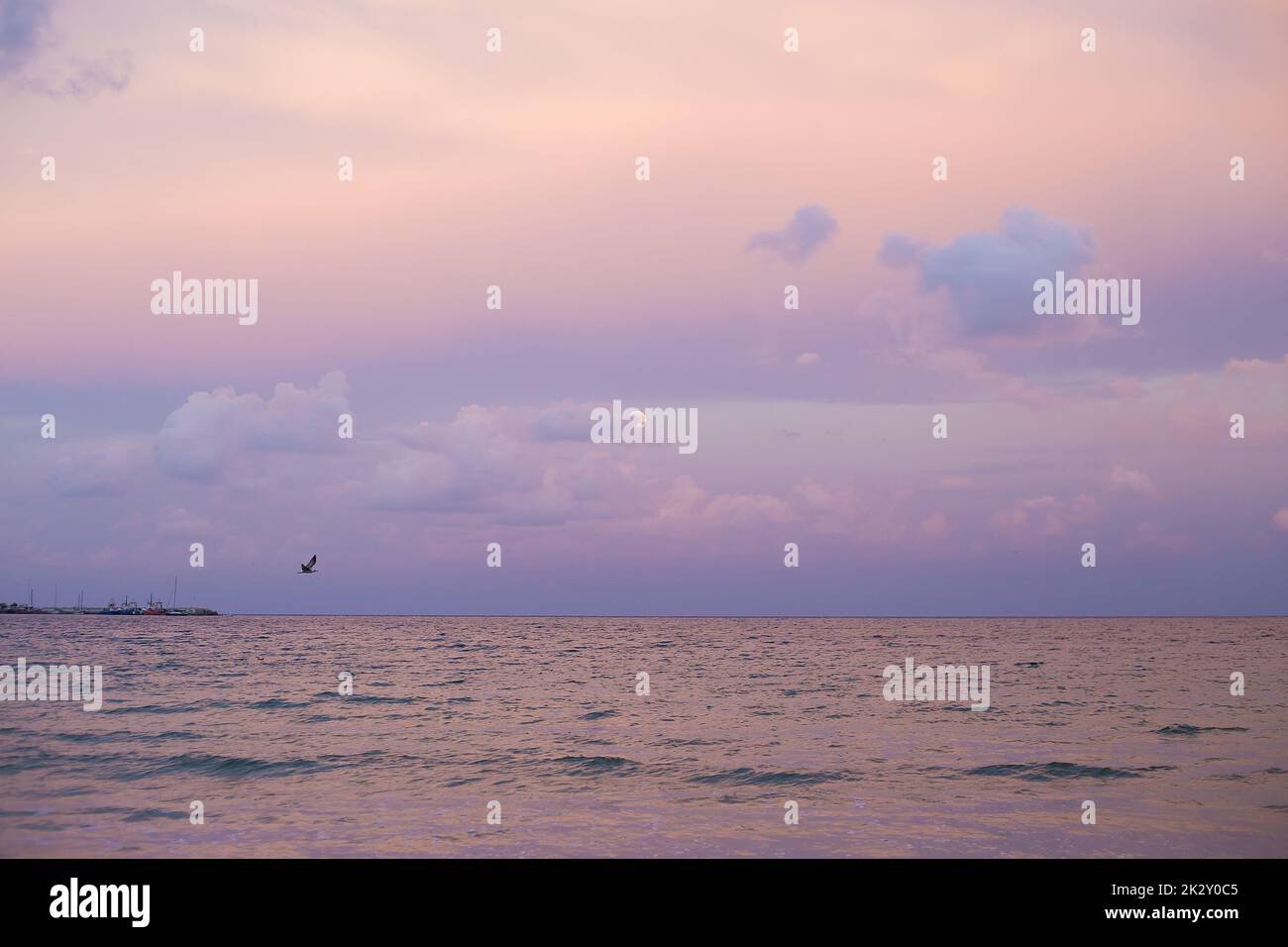 Purple sky at sea hi-res stock photography and images - Alamy