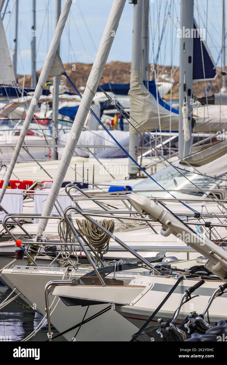 sailboats in a marina