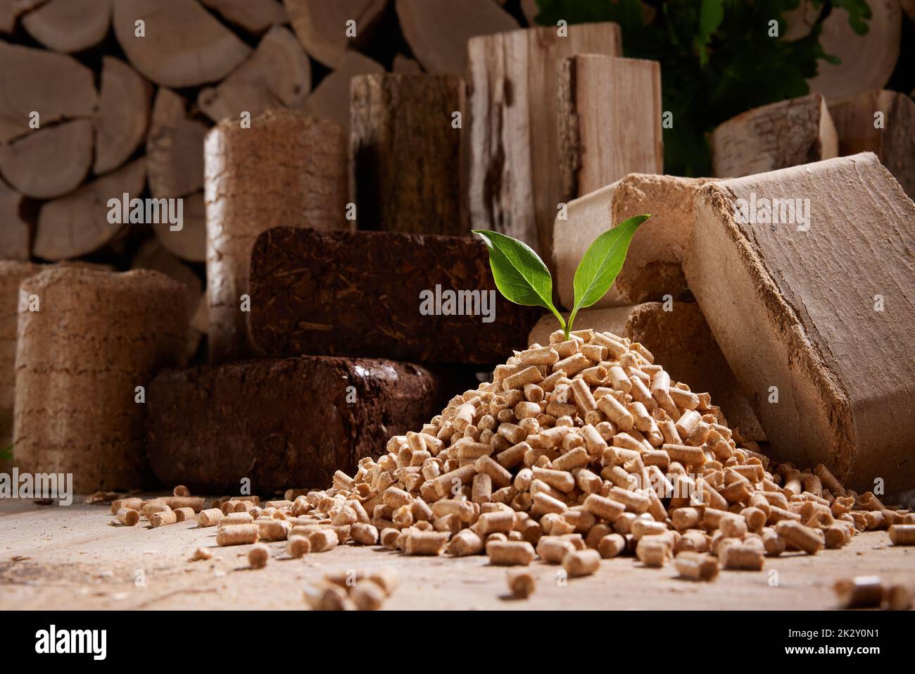 Green leaf on pellets stack near firewood and biomass briquettes Stock