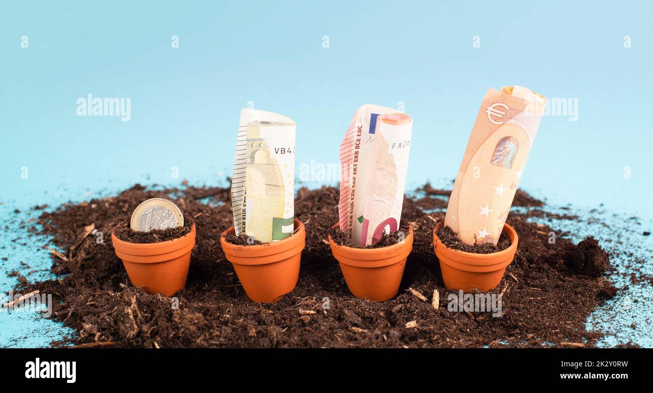 Euro banknotes in small flowerpots, money growing, financial planning, profitable investment, hope concept Stock Photo