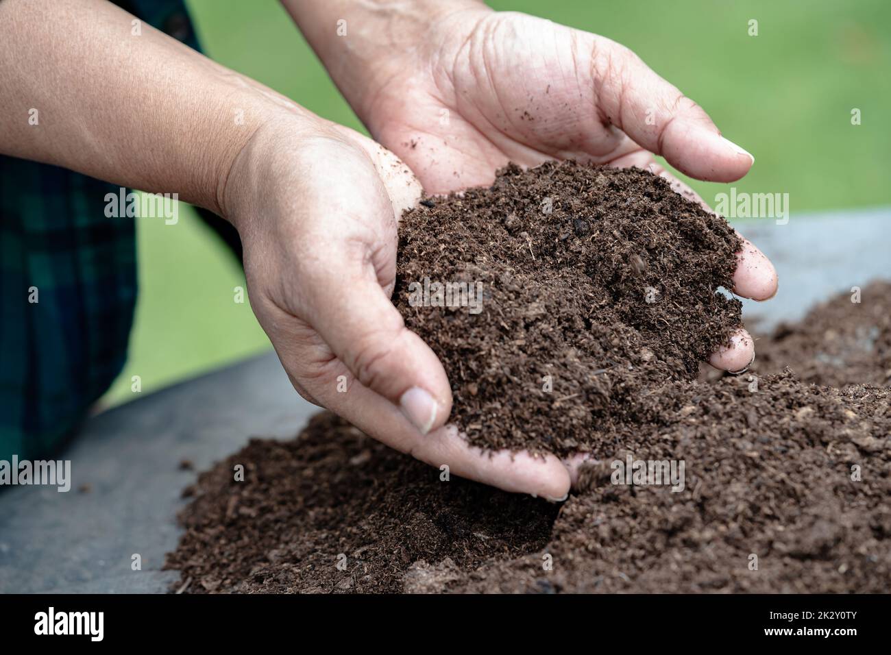 Hand holding peat moss organic matter improve soil for agriculture