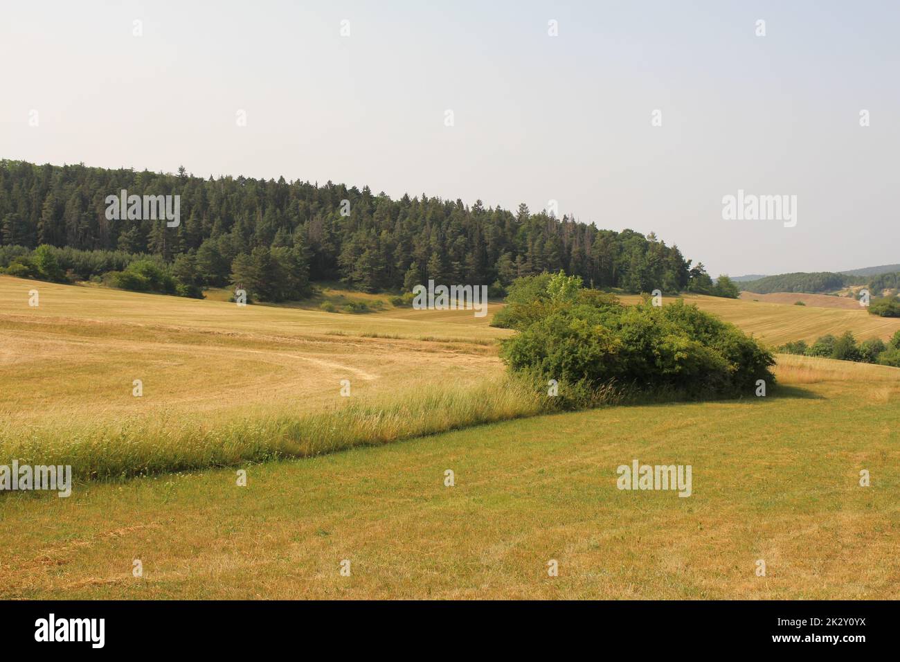 Thuringia landscape hi-res stock photography and images - Alamy