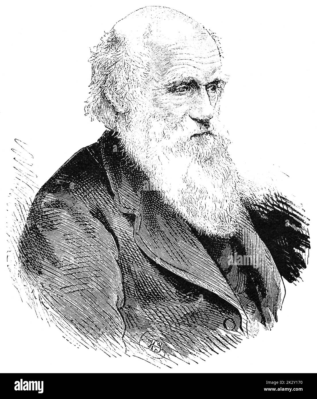 Portrait of Charles Robert Darwin - an English naturalist, geologist and biologist, best known for his contributions to the science of evolution. Illustration of the 19th century. White background. Stock Photo