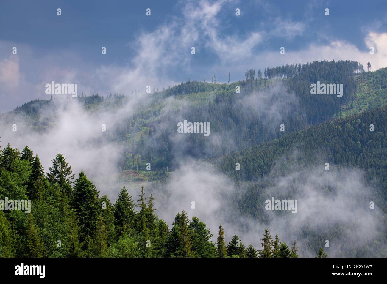 A scenic view of hills with green forests covered with clouds and fog ...