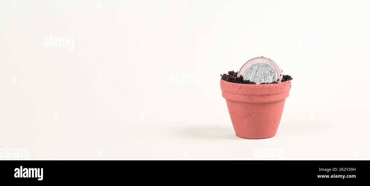 One Euro coin in small flowerpot, money growing, financial planning, profitable investment, hope concept Stock Photo