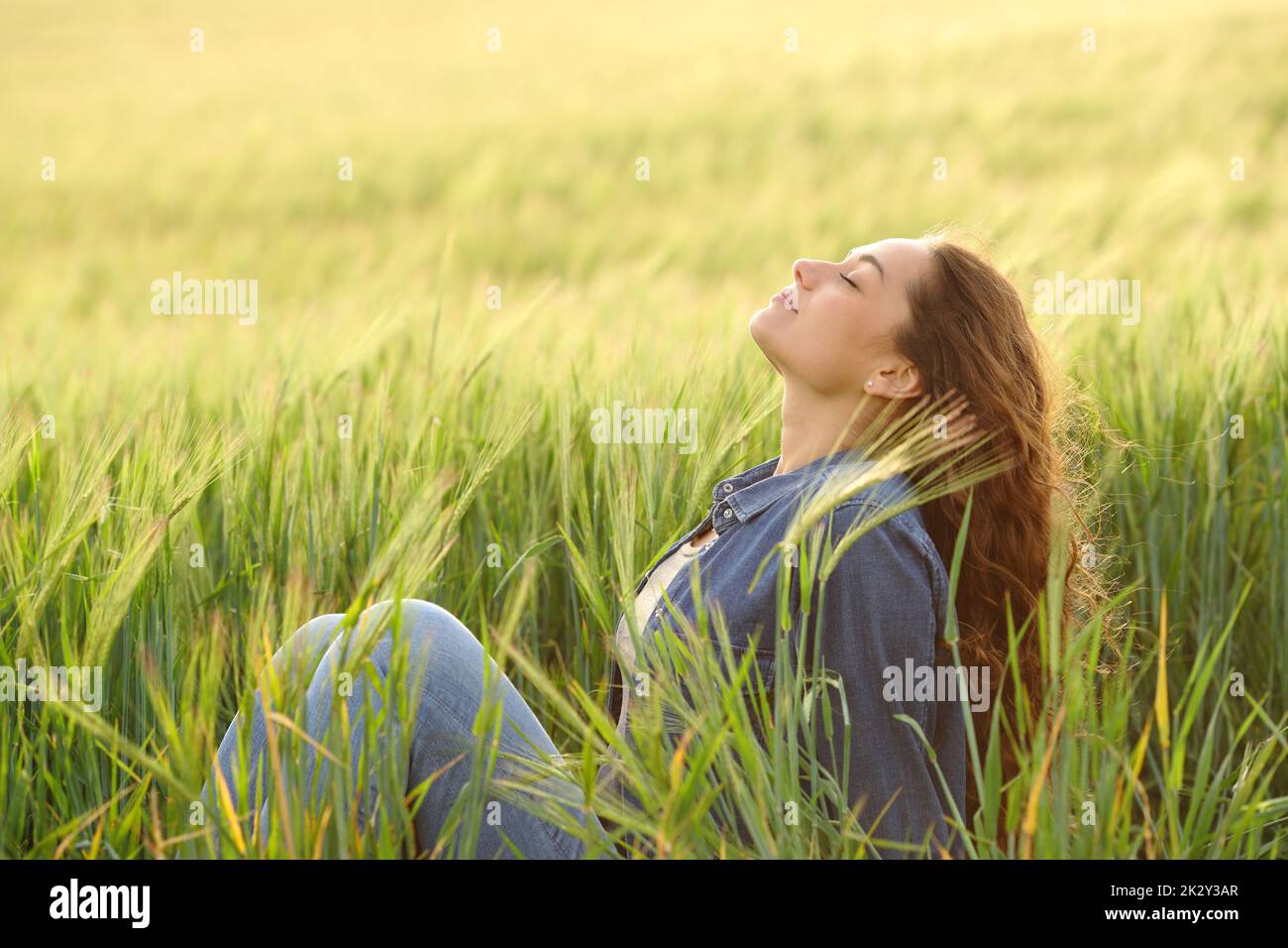 Woman sitting in a wheat field breathing fresh air Stock Photo - Alamy