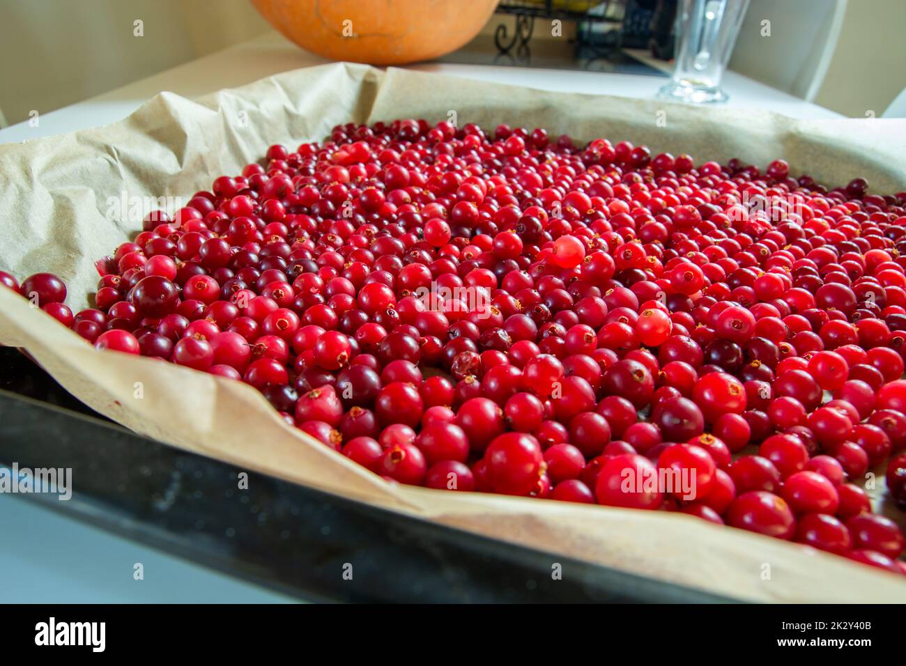 Sheet lined with paper and ripe cranberries Stock Photo - Alamy