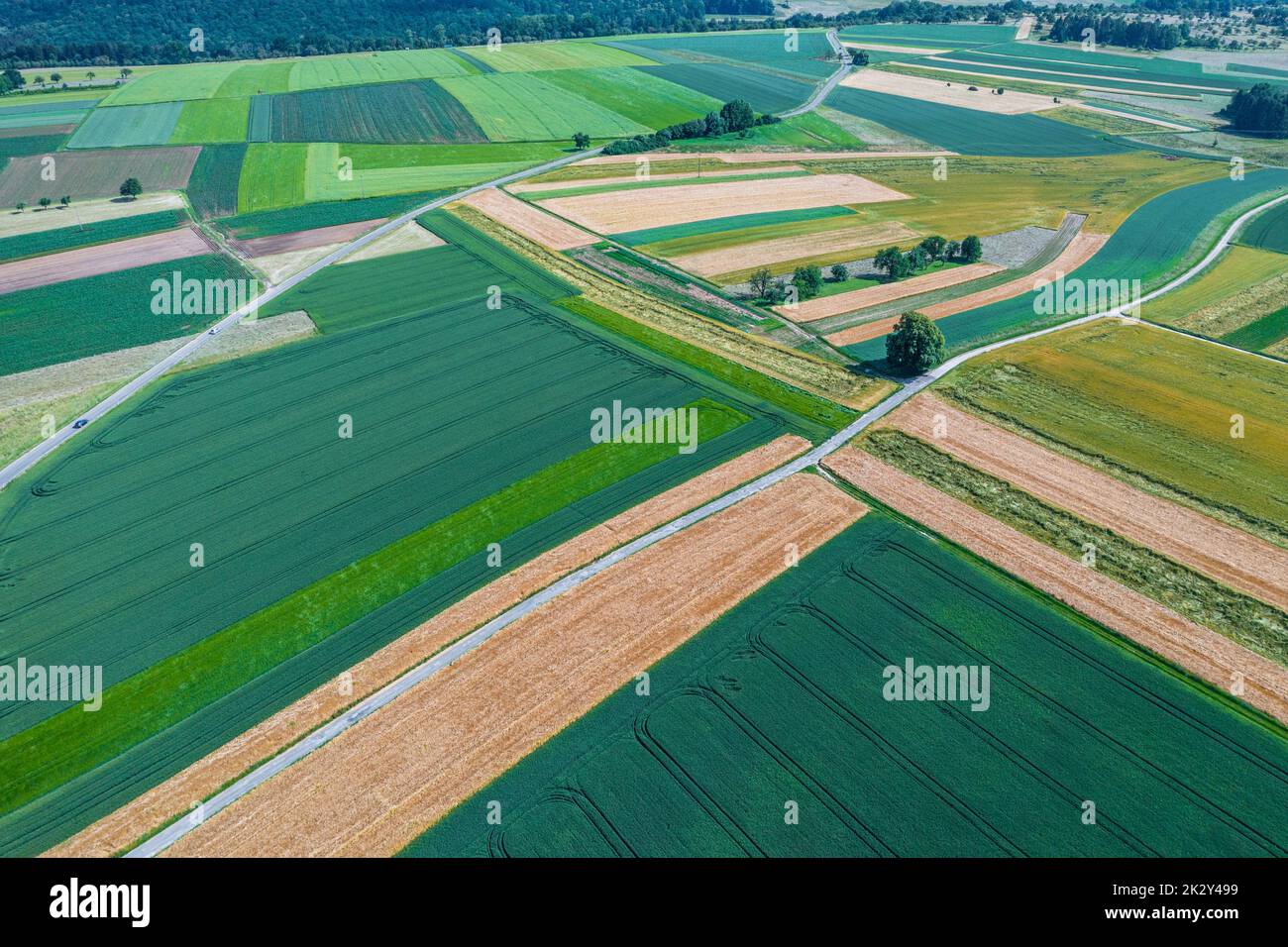 aerial of grain fields and corn in summer Stock Photo