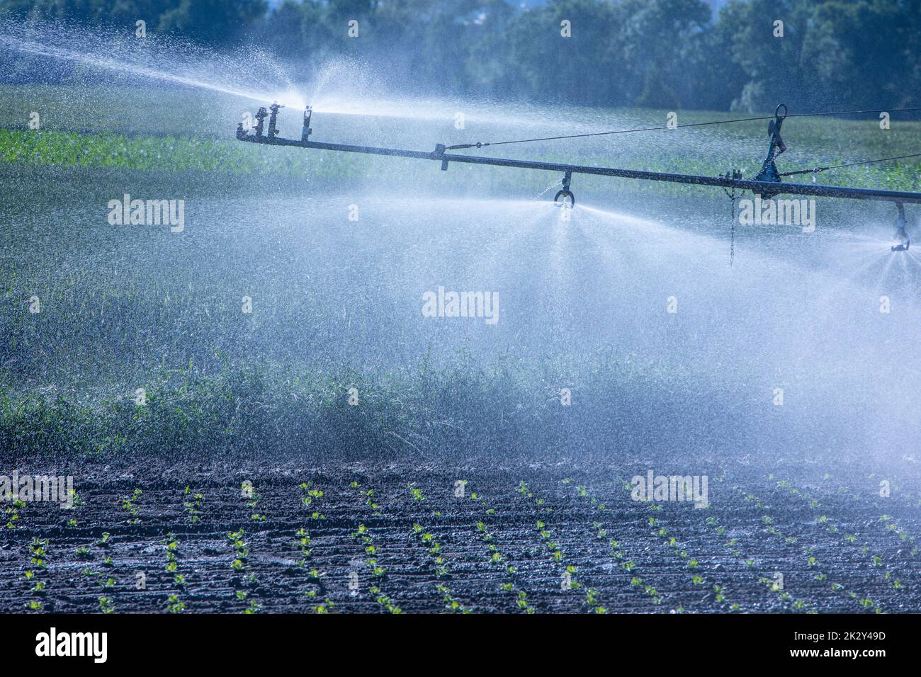 machinery spraying water for the plants during drought Stock Photo