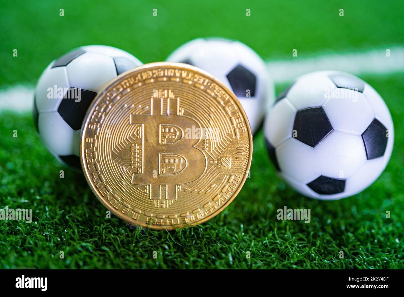 Gold and grass coin grass hi-res stock photography and images - Page 3 -  Alamy