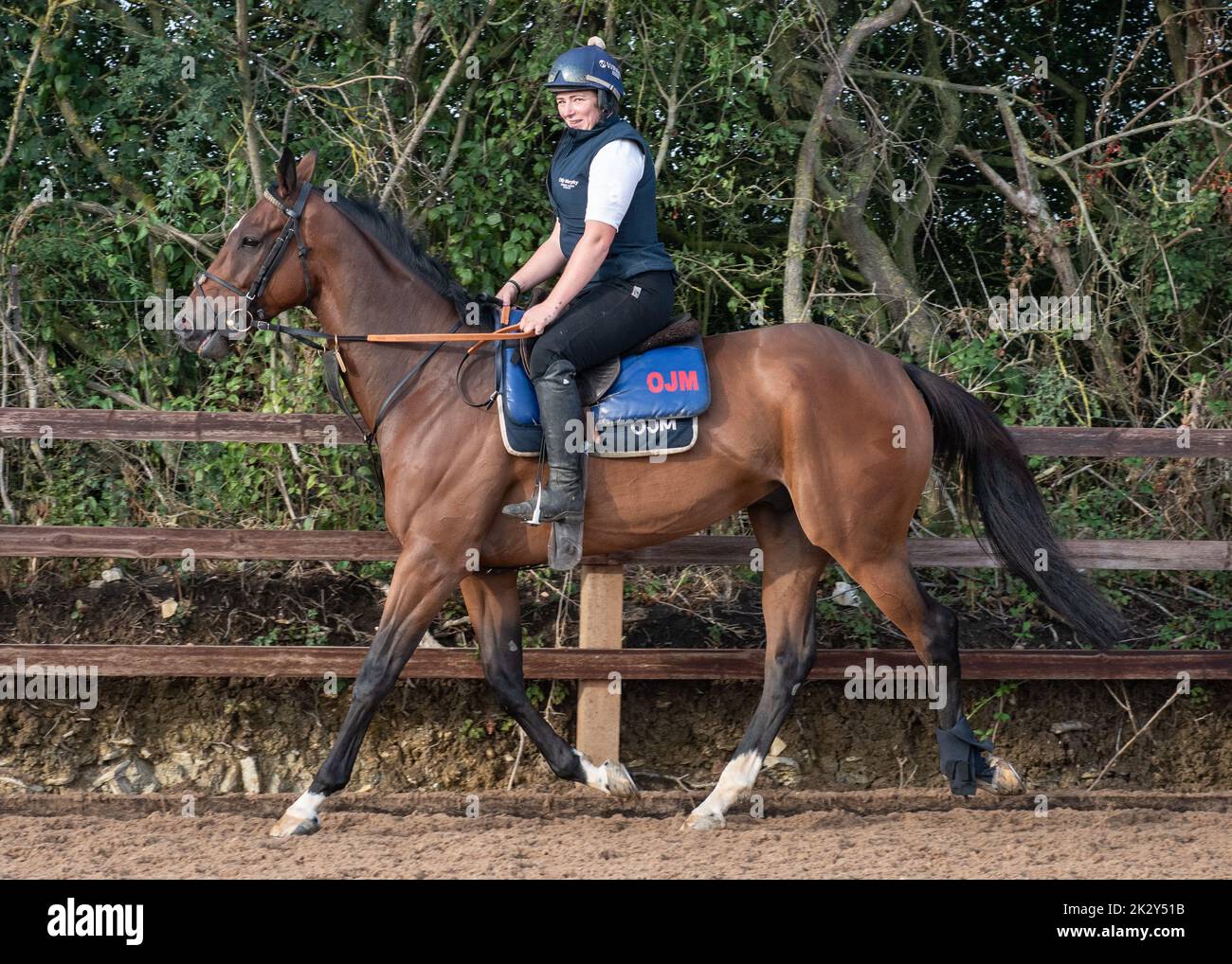 Oll Murphy Racing Olly murphy racing hi-res stock photography and images - Alamy