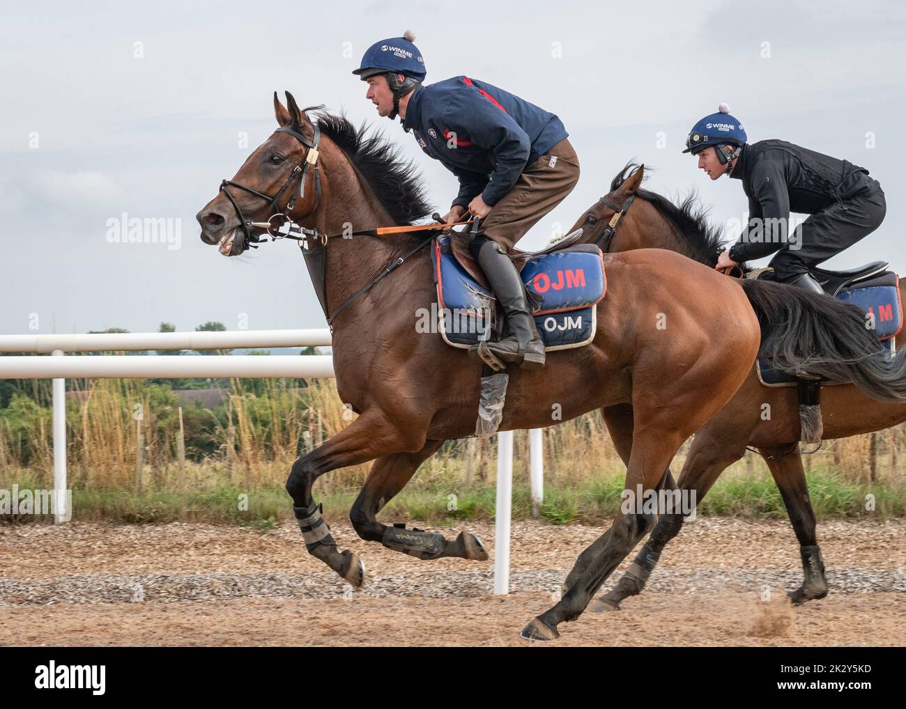 Warren chase racing stables hi-res stock photography and images - Alamy