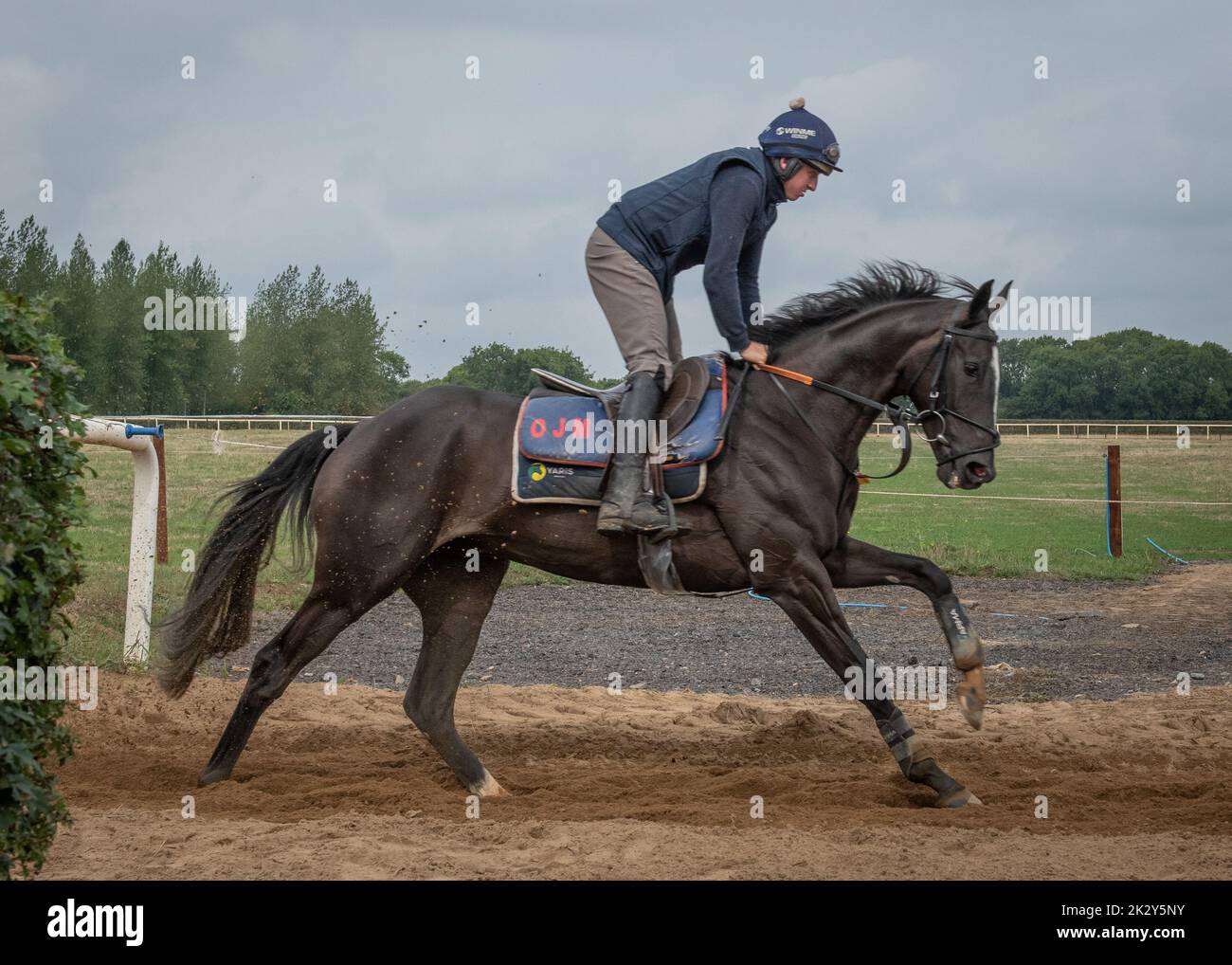 Oll Murphy Racing Warren chase racing stables hi-res stock photography and images - Alamy