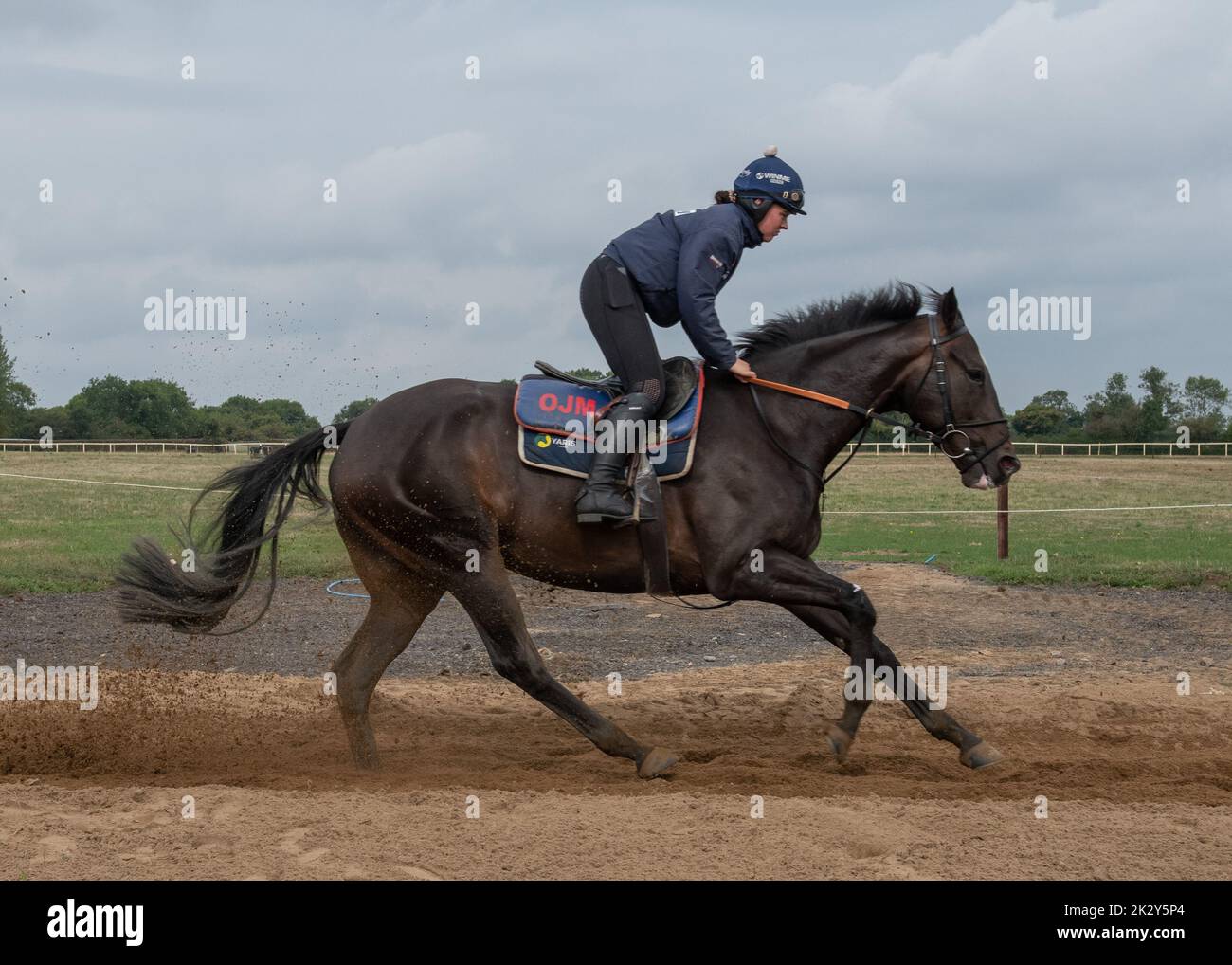 Oll Murphy Racing Warren chase racing stables hi-res stock photography and images - Alamy