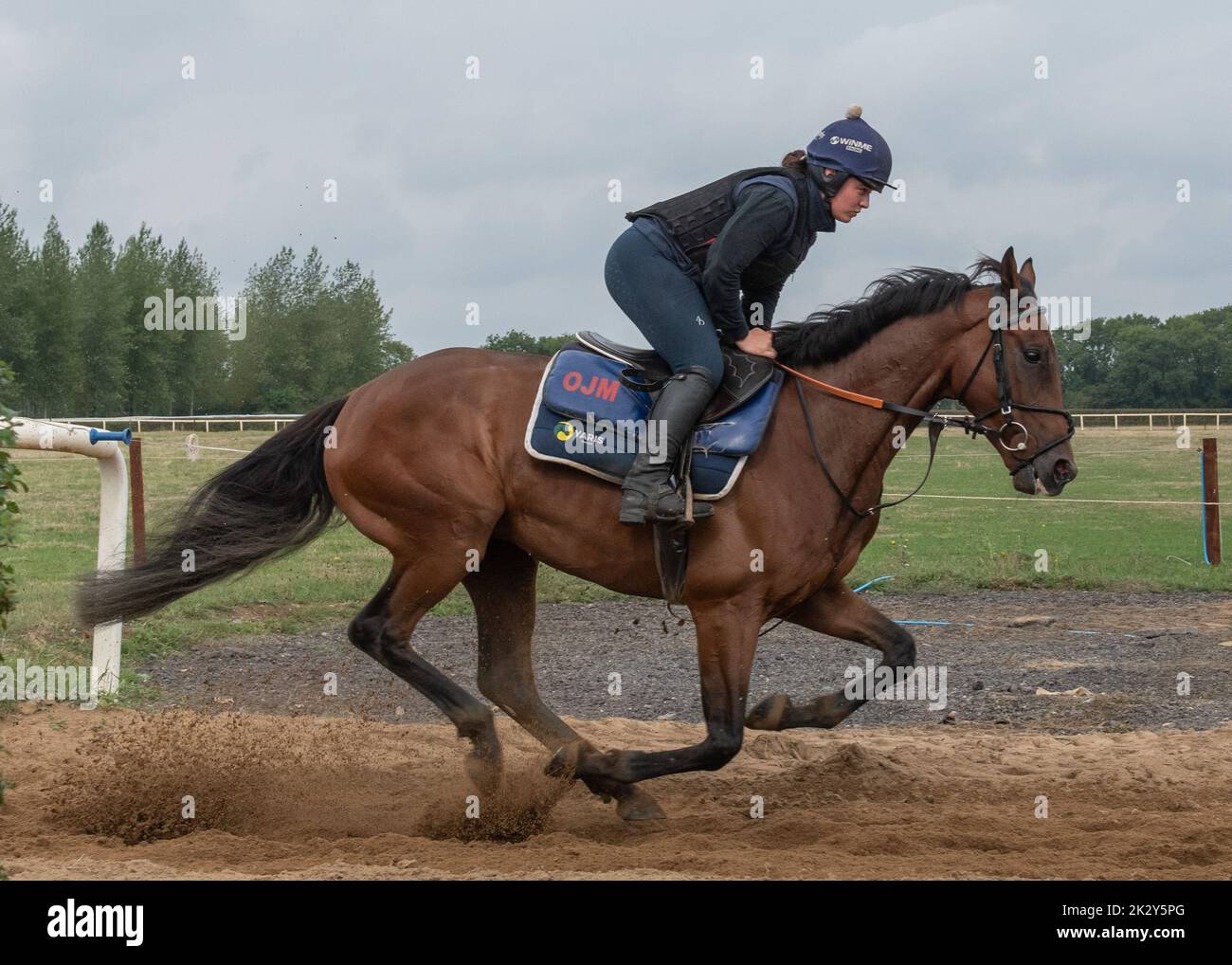 Oll Murphy Racing Warren chase stables hi-res stock photography and images - Alamy