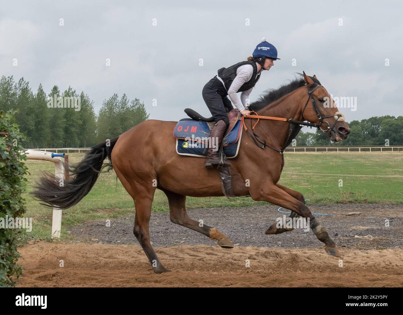 Oll Murphy Racing Warren chase racing stables hi-res stock photography and images - Alamy