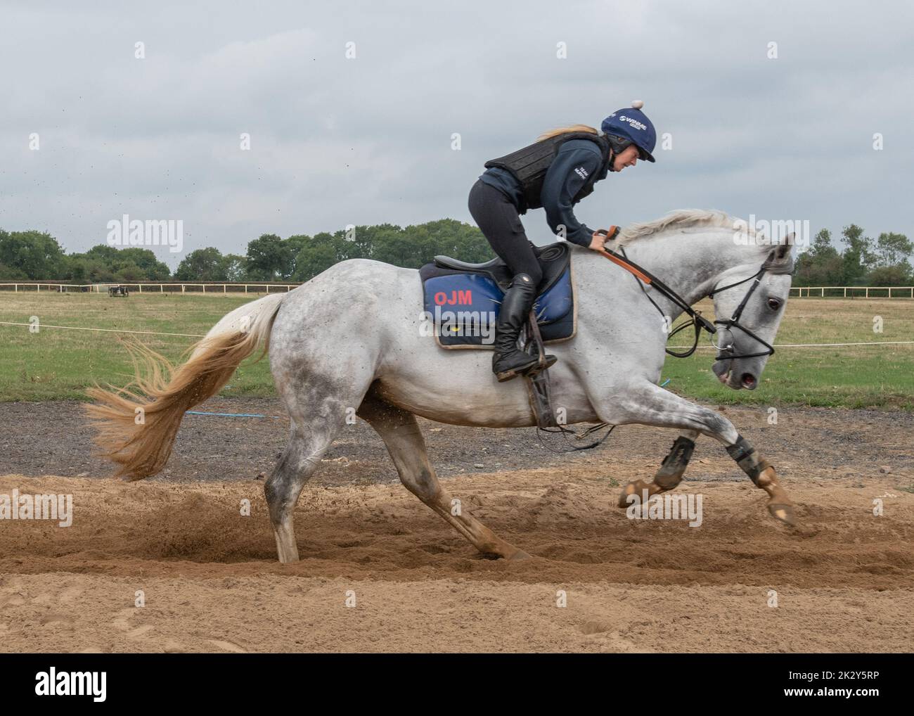 Oll Murphy Racing Olly murphy trainer hi-res stock photography and images - Alamy