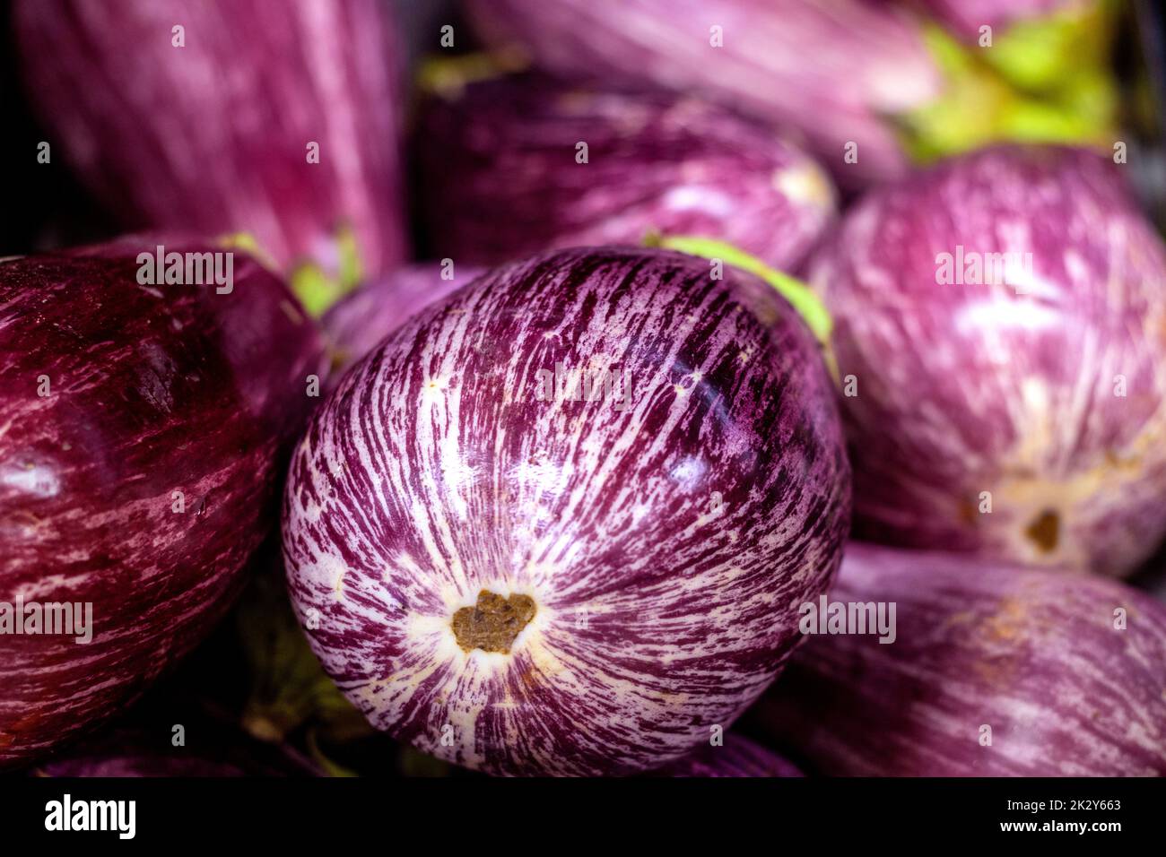 detail plan of eggplants in the fruit store Stock Photo Alamy
