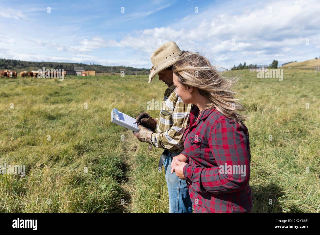 Cattle rancher father and daughter with clipboard in sunny rural field